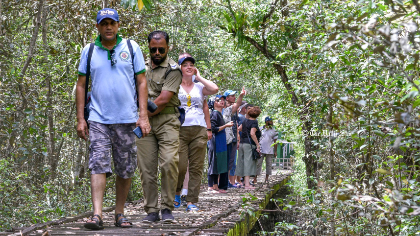 sundarban