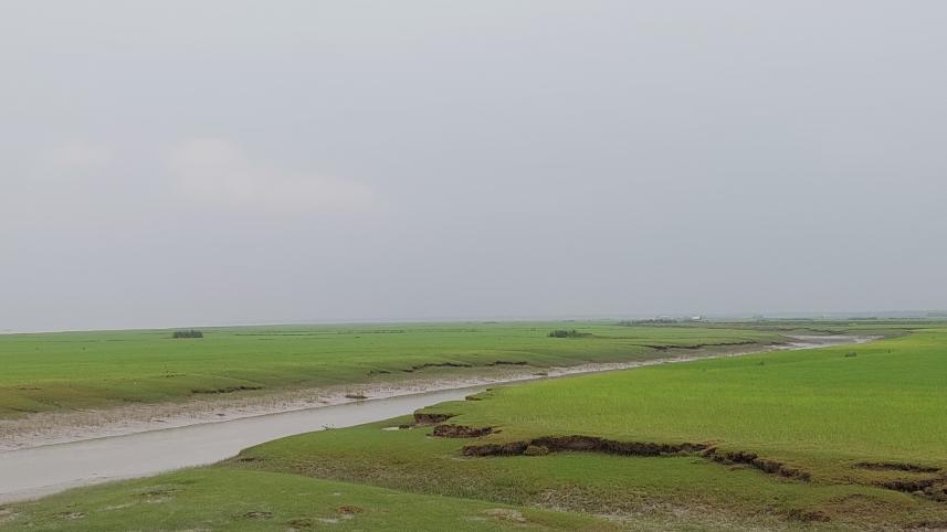 ভোলা