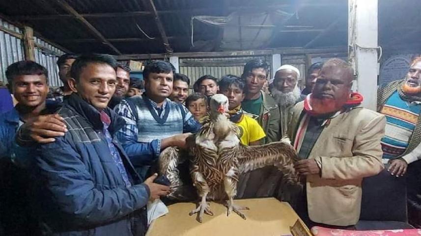 ঈগল ভেবে শকুন নিয়ে নির্বাচনী প্রচারণা