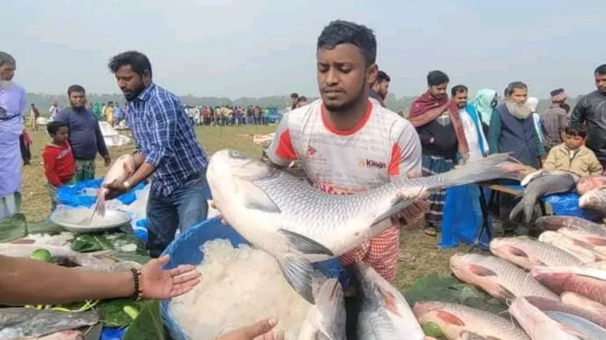 জামাই মেলা