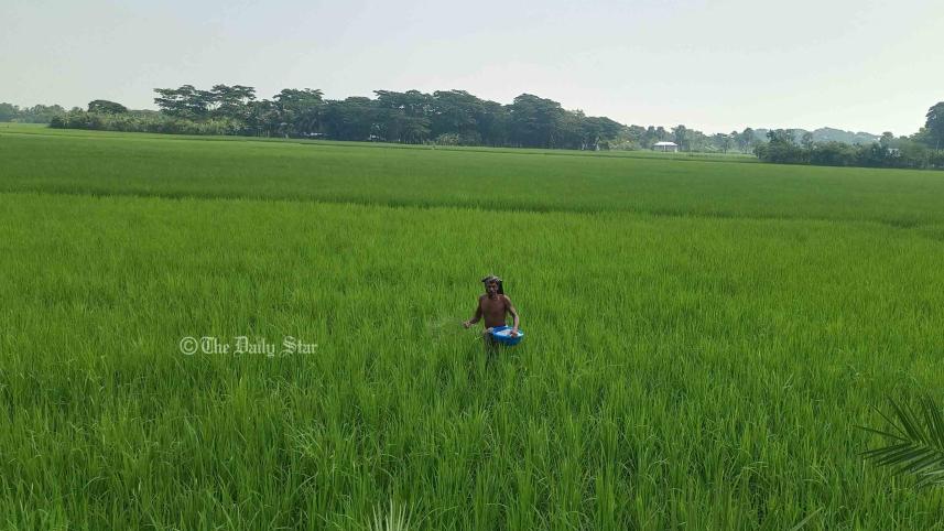 পটুয়াখালীতে ১০ বছরে কৃষিকাজ ছেড়েছে ৪০ হাজার পরিবার