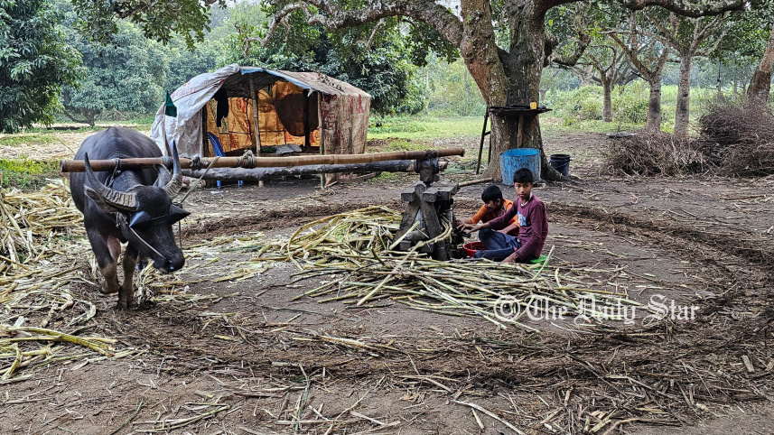 brahmanbaria_lali_gur.jpg