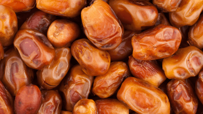 zahidi_date.jpg