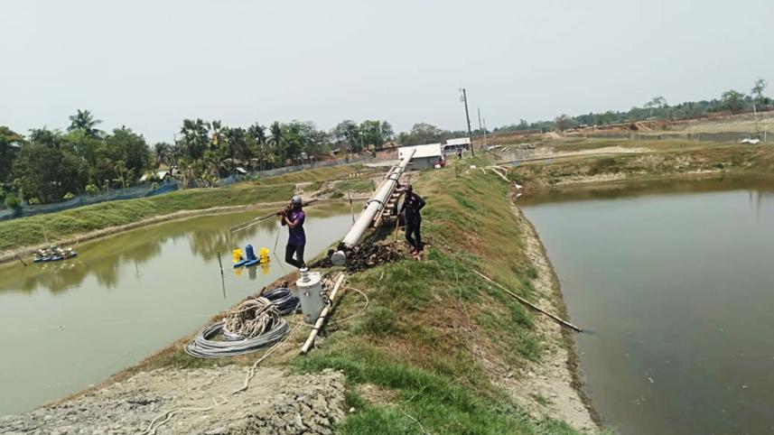 চিংড়ি চাষ