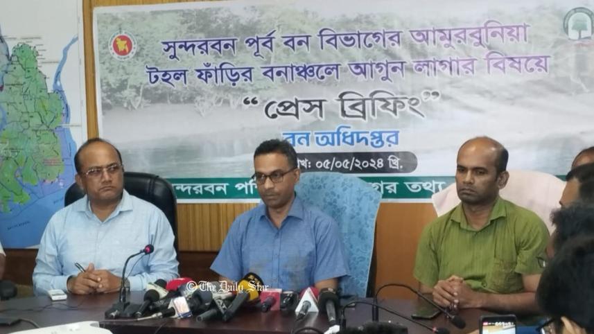 sundarban.jpg