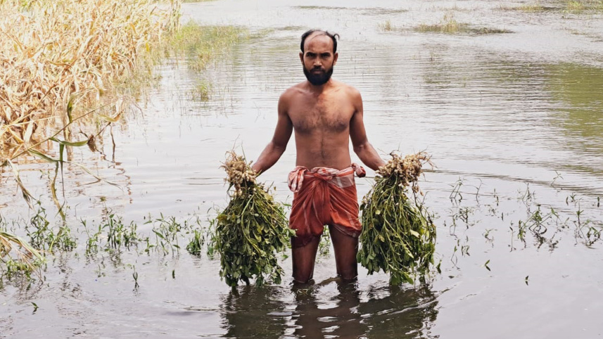 patuakhali-1.jpg
