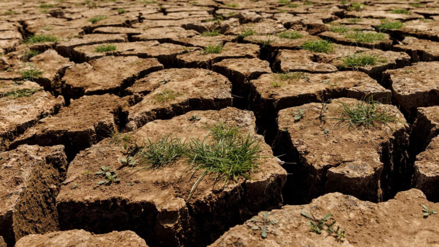 soil.jpg