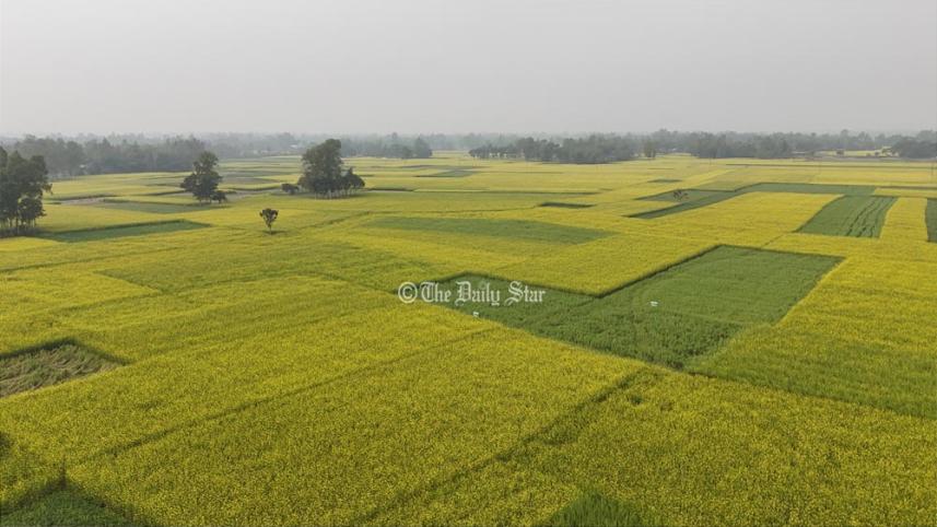 chalanbeel_1.jpg