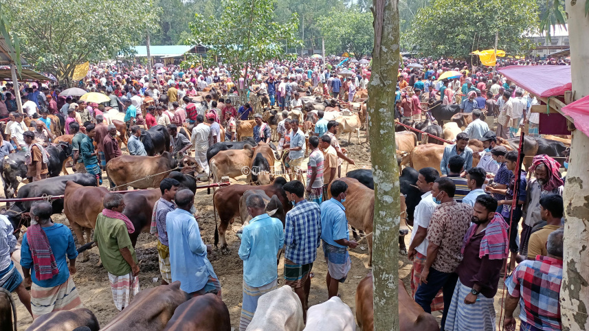 lalmonirhat2.jpg