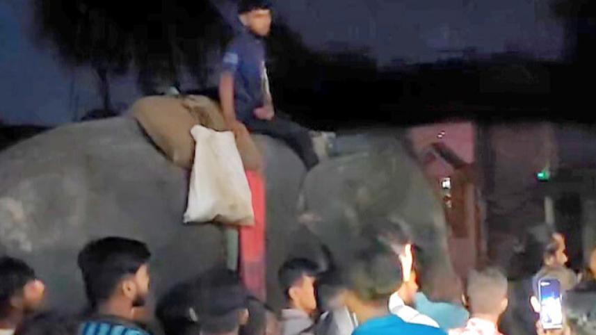 kishoreganj_elephant_kills_one-00.jpg