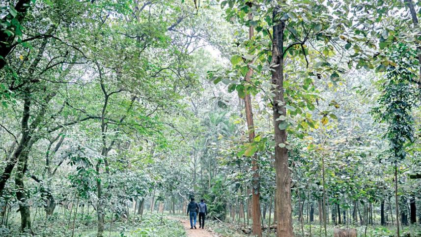 মিরপুর
