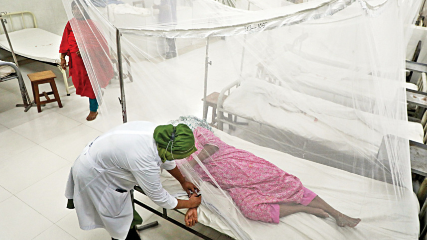 dengue_129.jpg