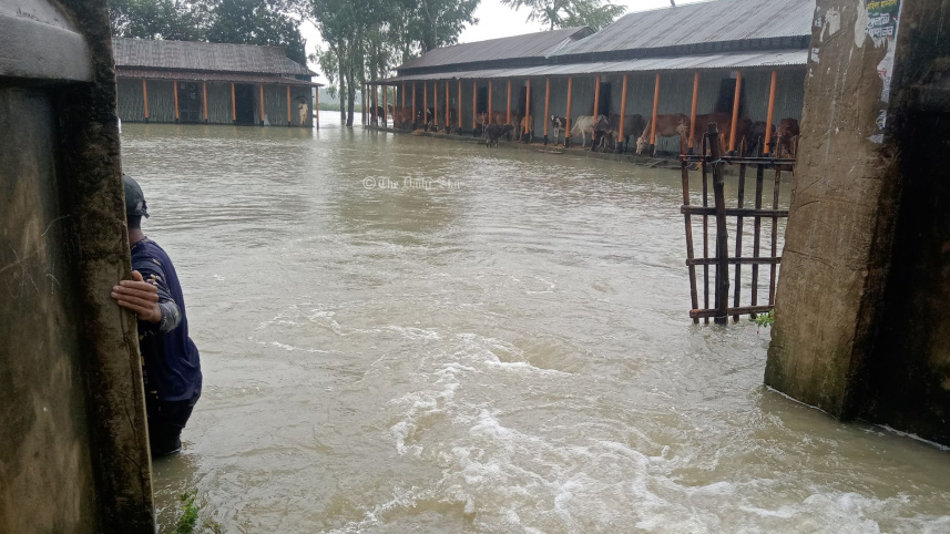 flood_37.jpg