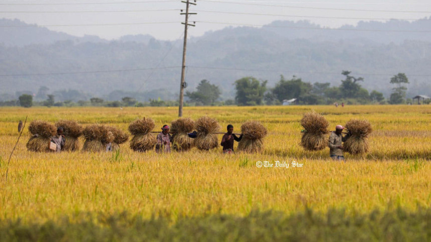 হেমন্ত