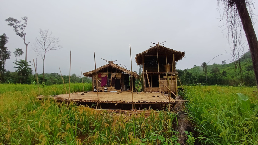 জুম.jpg