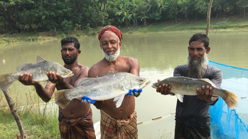 patuakhali
