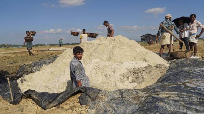 লবণ চাষ