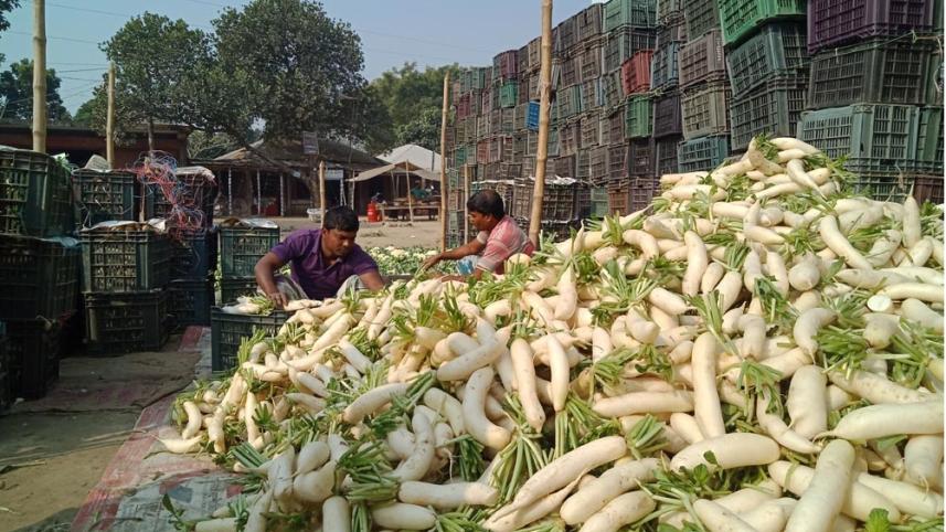 pabna.jpg