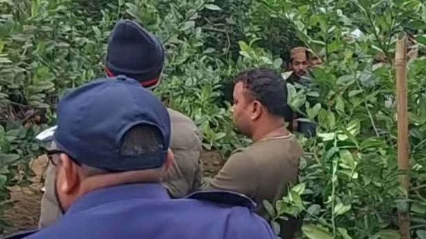 tangail.jpg