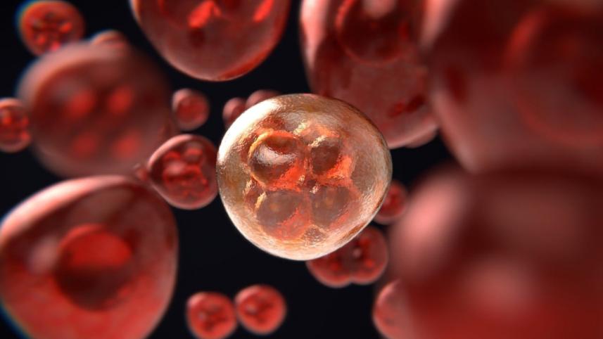 cancer_cells.jpg