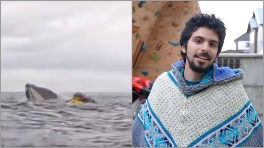 Whale Attack