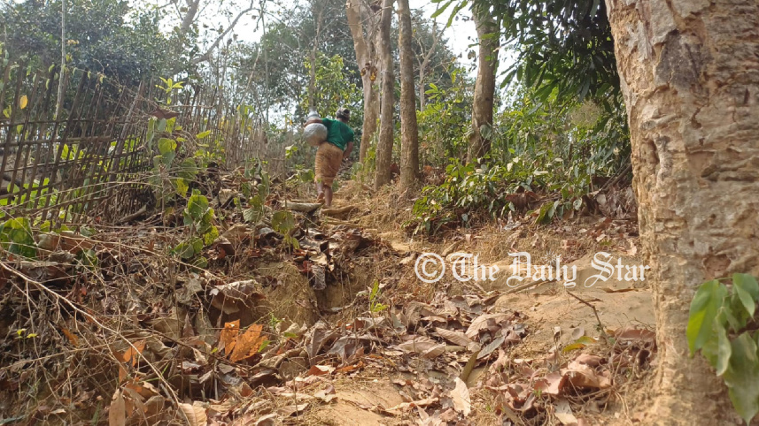 shoinu_ching_marma2_21mar25.jpg