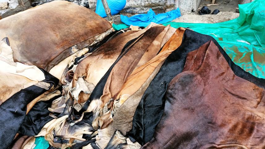 lalmoinirhat_rawhide_traders-03.jpg