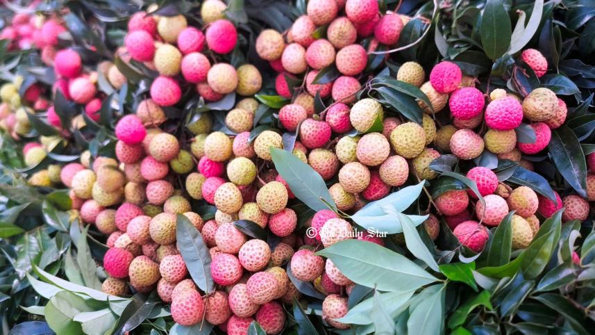 lichi.jpg
