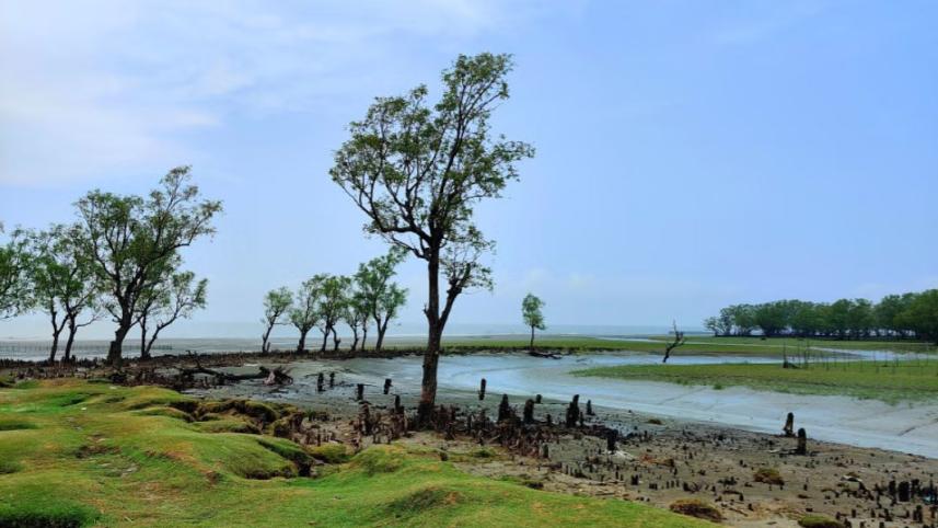 গুলিয়াখালী