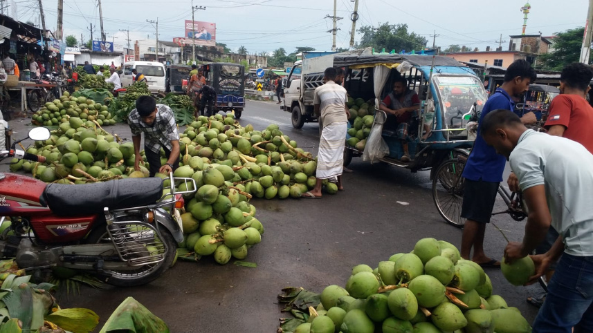 green_coconut_1_0.jpg