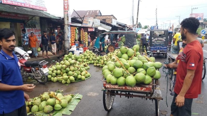 green_coconut_2.jpg