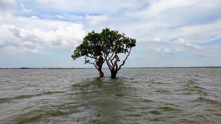 naogaon.jpg