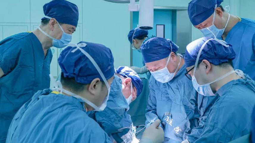 pig_liver_transplant.jpg