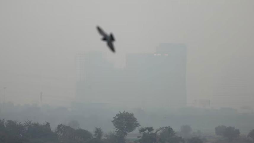 delhi.jpg