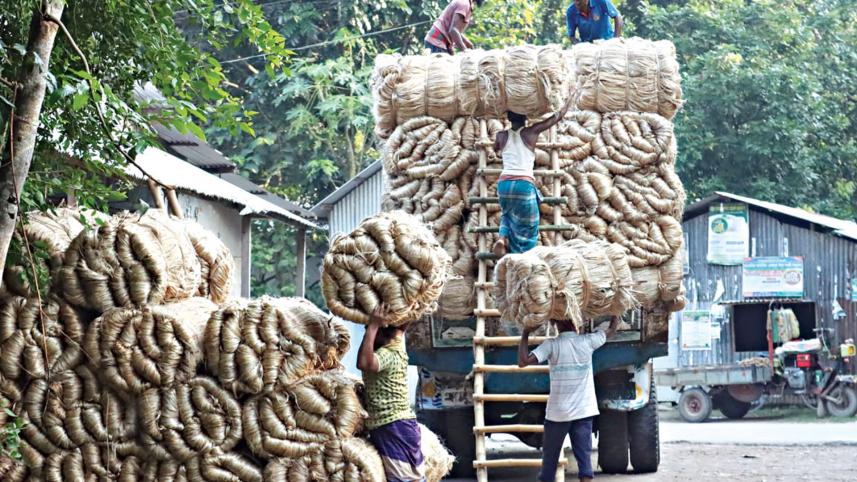 jute.jpg