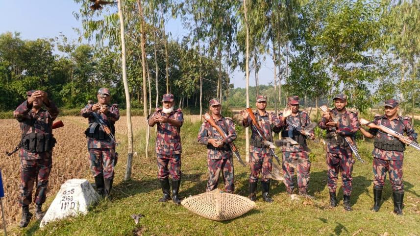 feni_birds.jpg