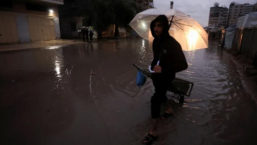 gaza.jpg