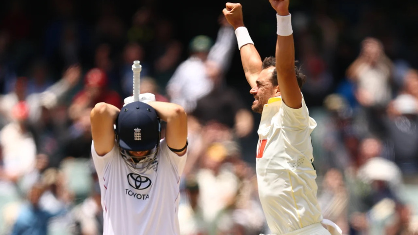 mitchell starc