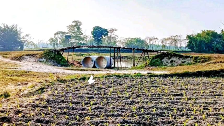 lalmonirhat-border-03.01.jpg