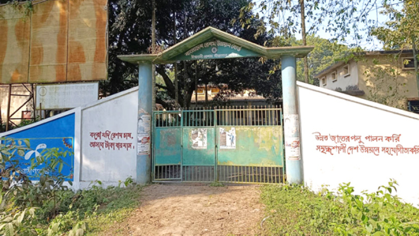 ishwardi-reshom-farm-photo-12.jpg