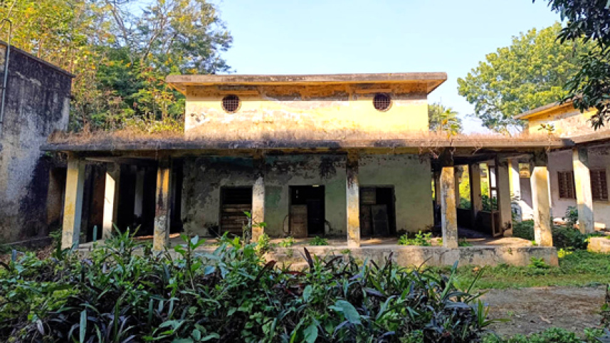 ishwardi-reshom-farm-photo-6.jpg