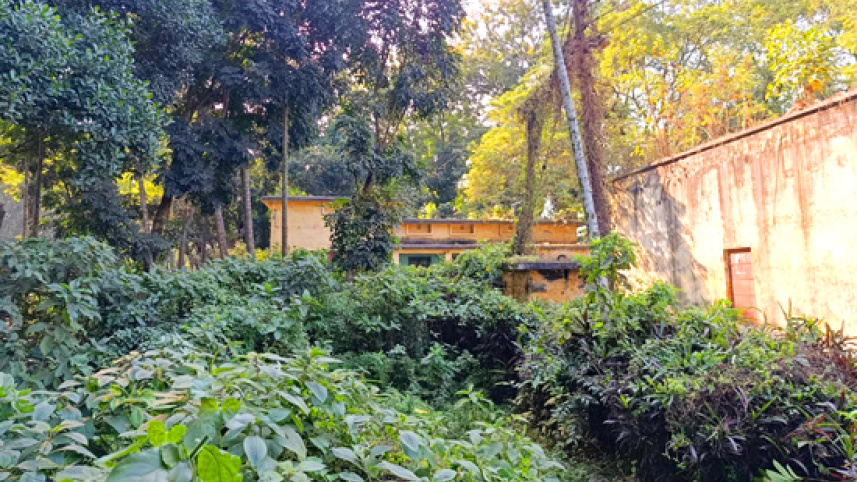 ishwardi-reshom-farm-photo-7.jpg