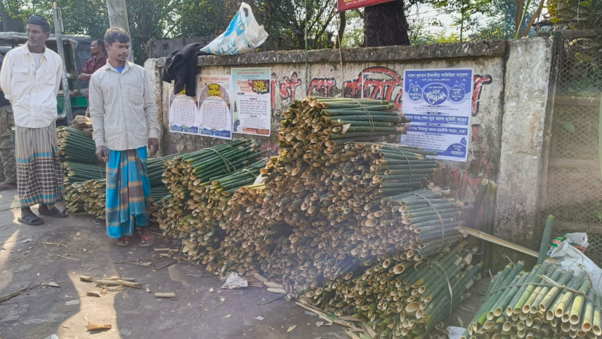 bamboo.jpg