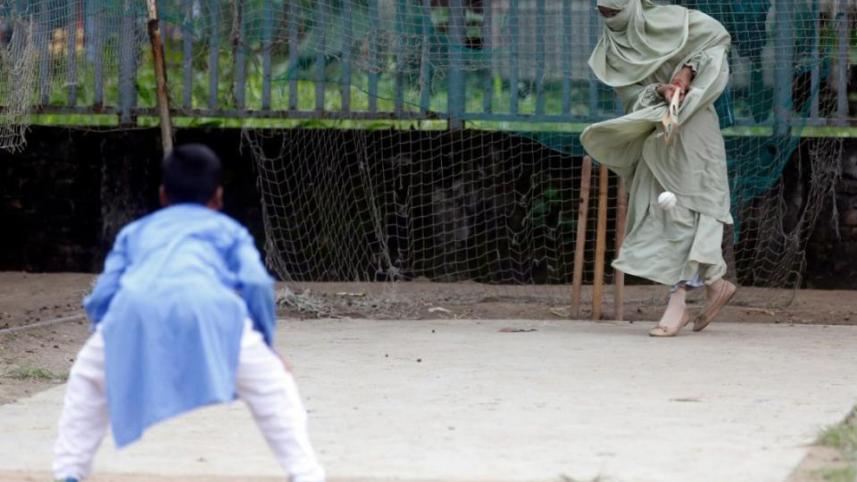 cricket-2_0.jpg