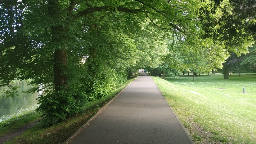 IMG_20190606_171427.jpg