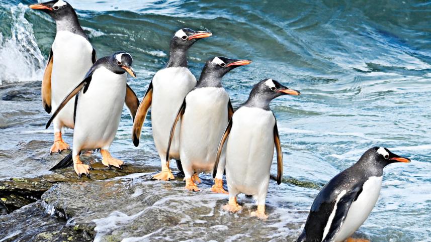 antarctica-7.jpg
