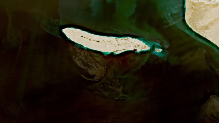 Oil Spill