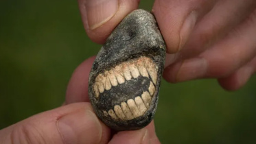 'Smiling' fossil 