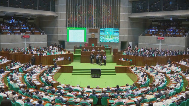 সংসদ