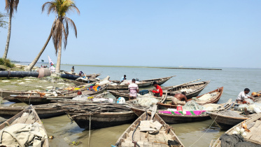 bhola